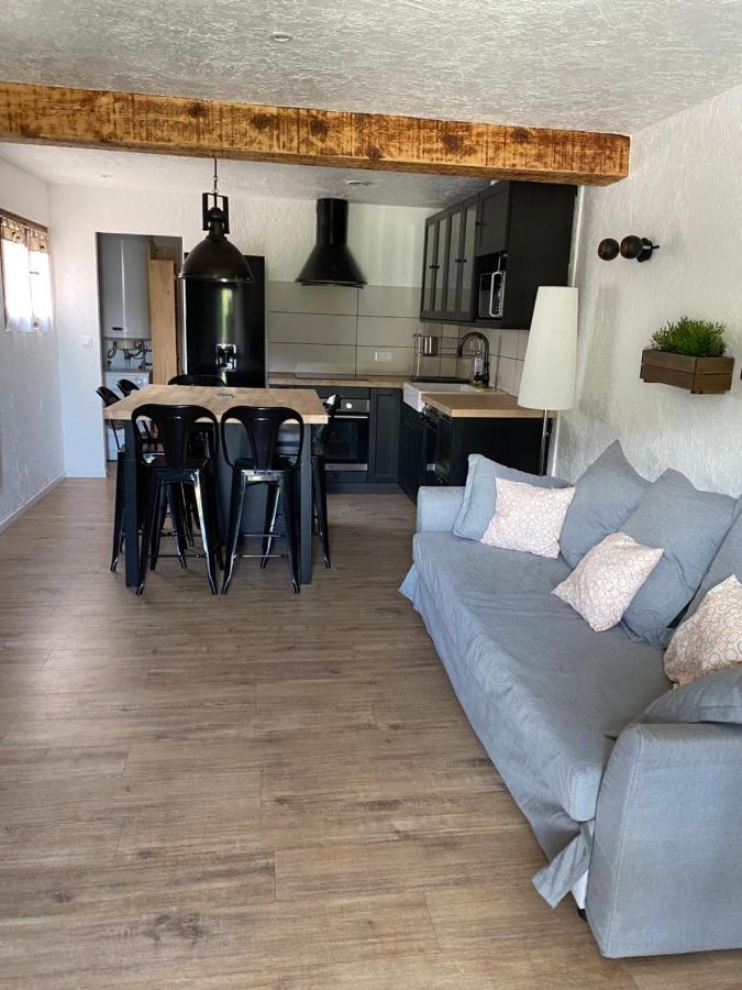 Bas De Chalet Au Pied Des Pistes Cambre D'Aze 圣皮耶尔代勒福尔卡 外观 照片
